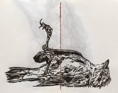 21469735_1452385918162798_1841627944_n © Enrique Enriquez