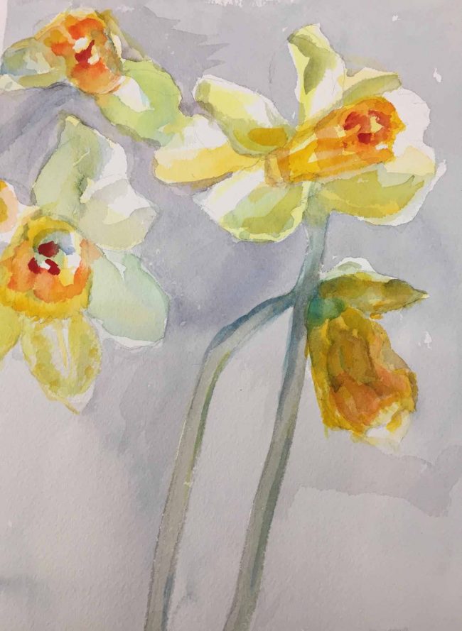 Rona-Silverton-01 Spring Daffodils. Watercolor by Rona Silverton