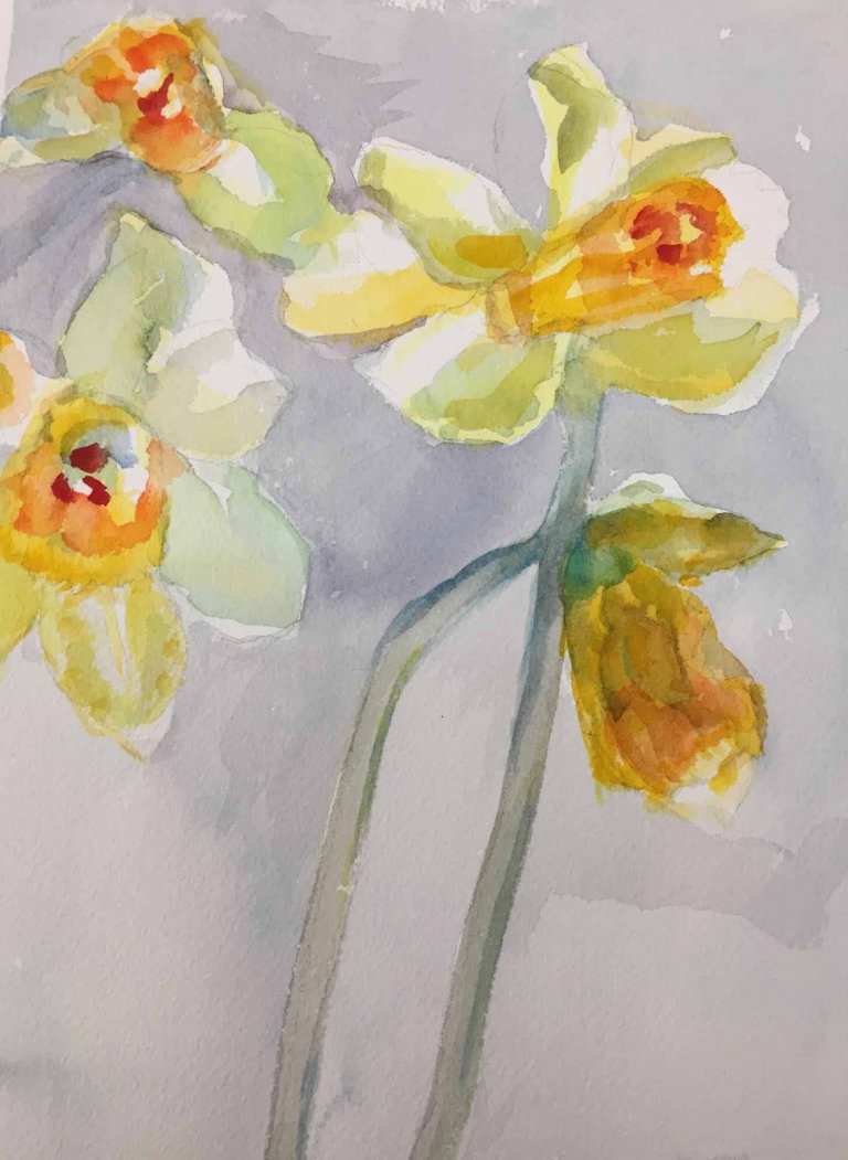 Spring Daffodils. Watercolor by Rona Silverton
