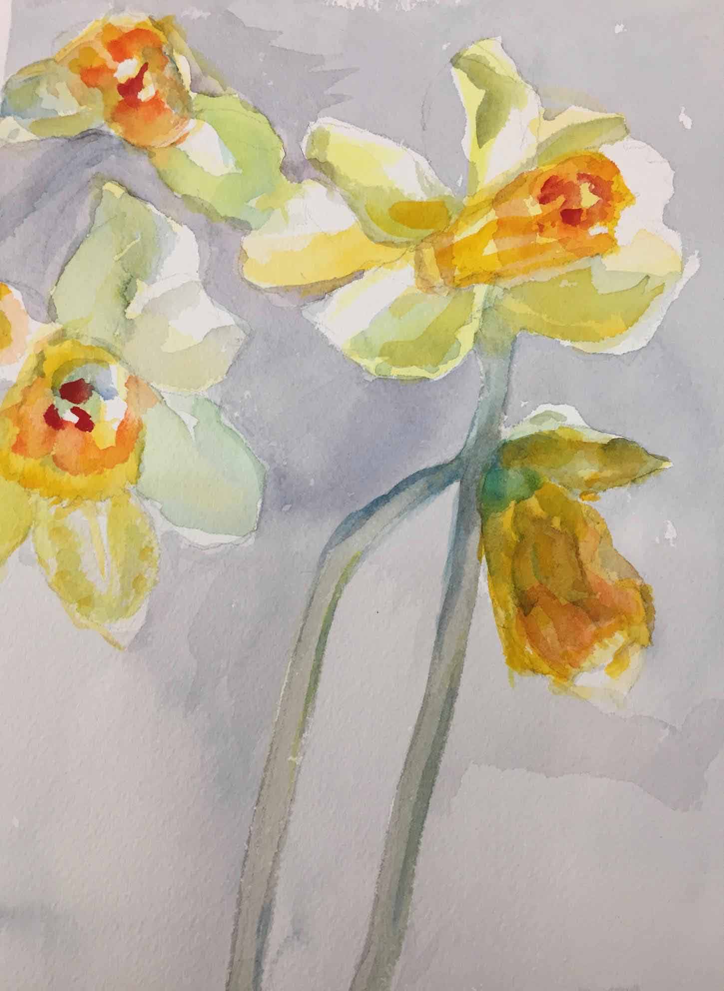 Spring Daffodils. Watercolor by Rona Silverton