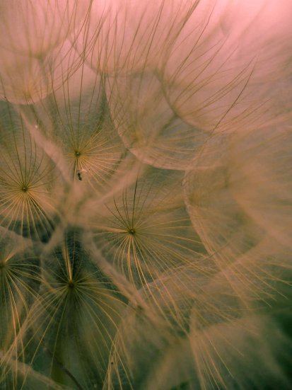 luca-campioni-279810 Photo by Luca Campioni