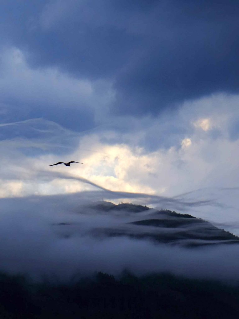 Photo by Steinar Engeland