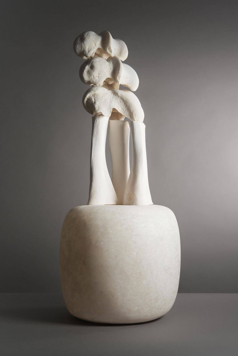 © Francesca Schwartz