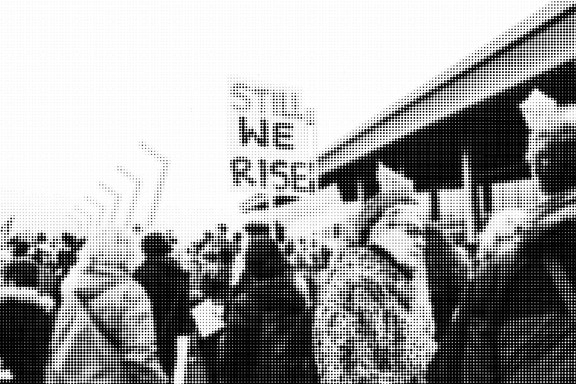 Photography by Alexa Mazzarello