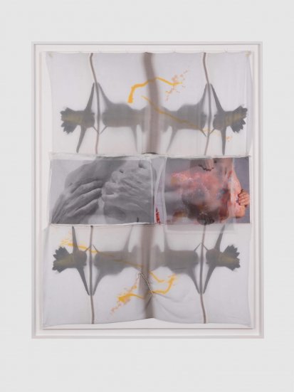 © Francesca Schwartz