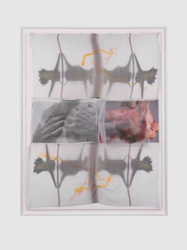 © Francesca Schwartz