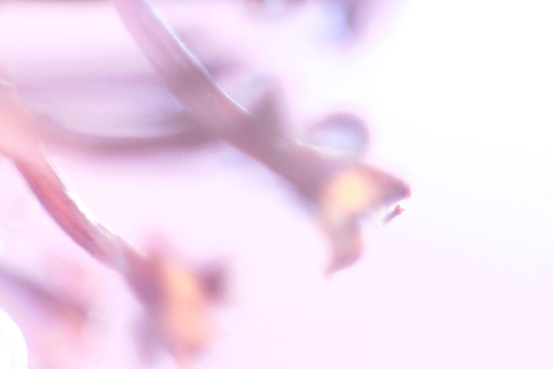 © Mafe Izaguirre © Mafe Izaguirre