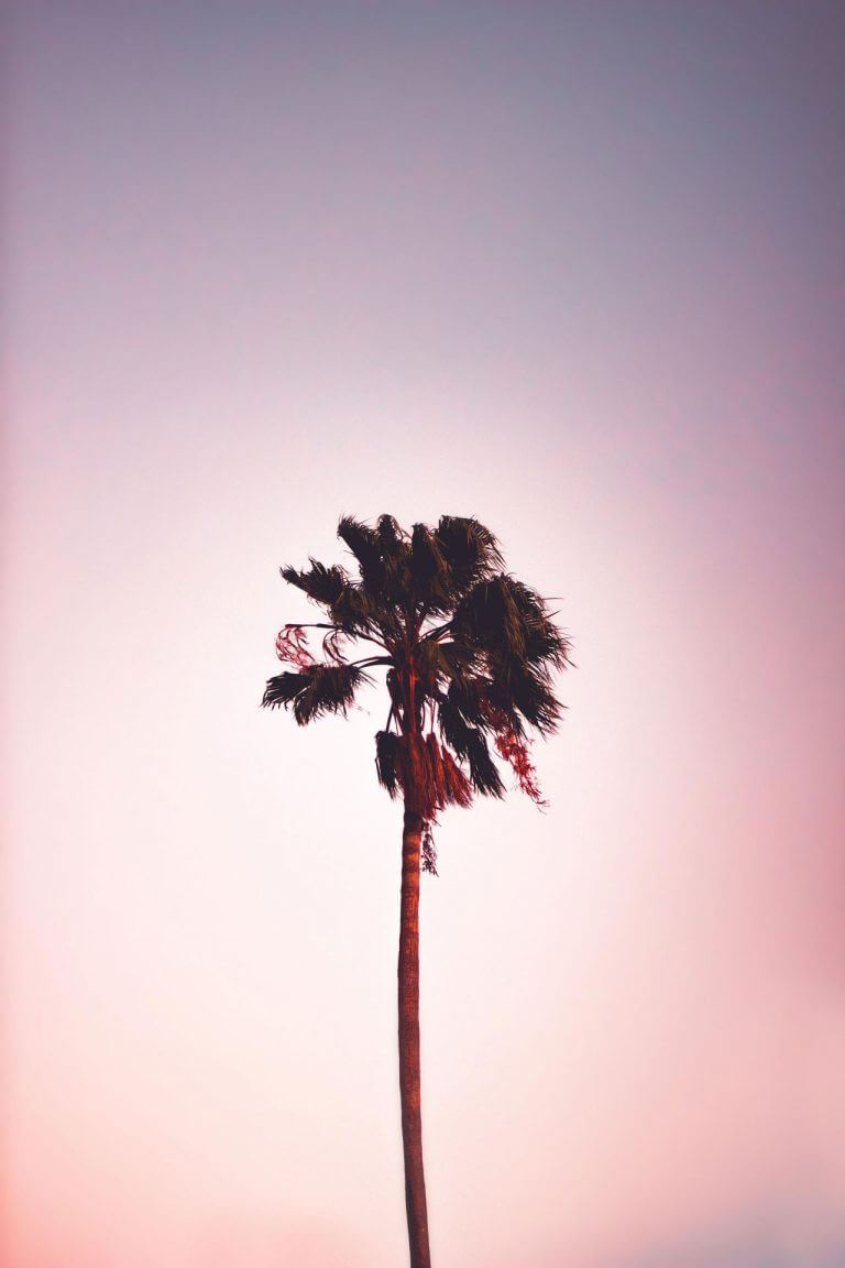 grayson-smith-413894-unsplash-2 grayson-smith-413894-unsplash-2