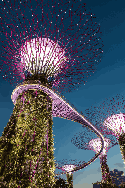 hu-chen-5O6c_pLziXs-unsplash.jpg Singapore, Giant trees by the Bay Futuristic gardens of Singapore