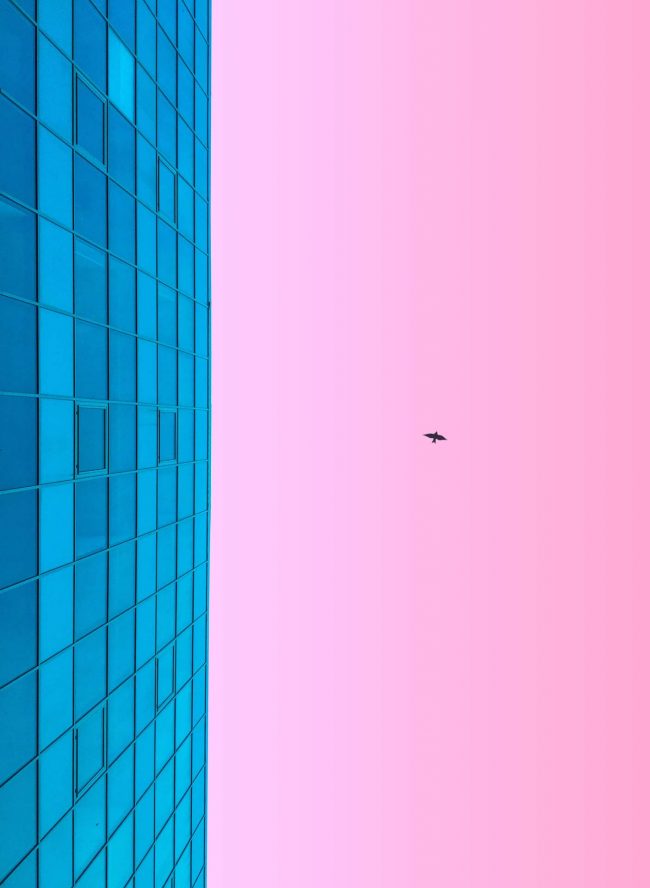 max-ostrozhinskiy-1nNtM9P-m0I-unsplash max-ostrozhinskiy-1nNtM9P-m0I-unsplash