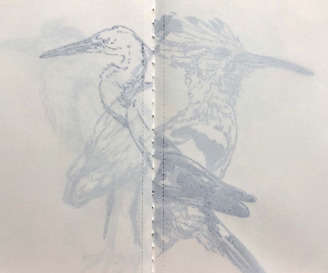 Enrique Enriquez, A Bird © Enrique Enriquez