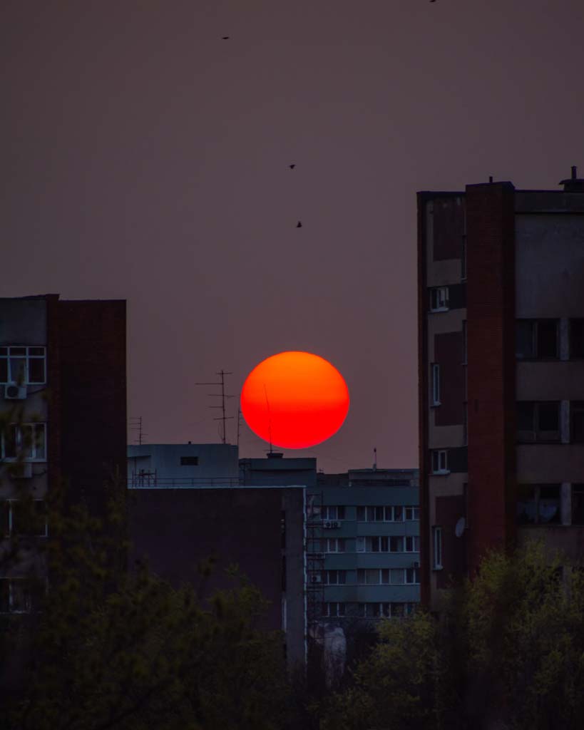 andrei-terecoasa-FZV6nA4uWWw-unsplash