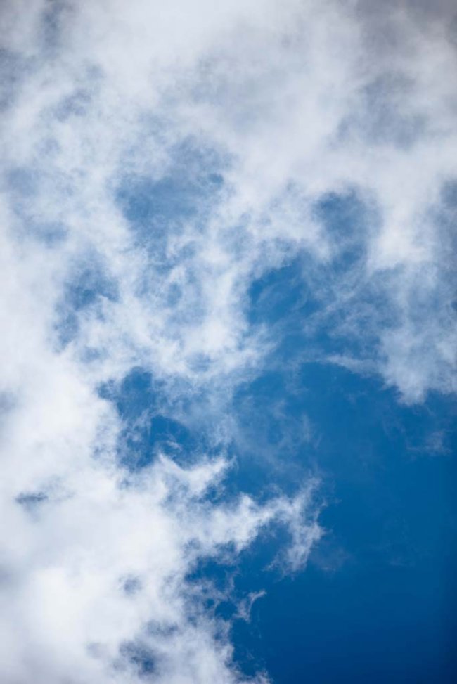 chuttersnap-l4-dgv1I-4E-unsplash chuttersnap-l4-dgv1I-4E-unsplash