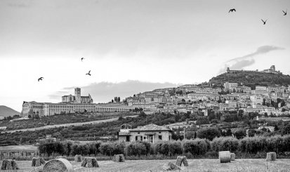 monique-kraan-3tasrdujuGE-unsplash monique-kraan-3tasrdujuGE-unsplash