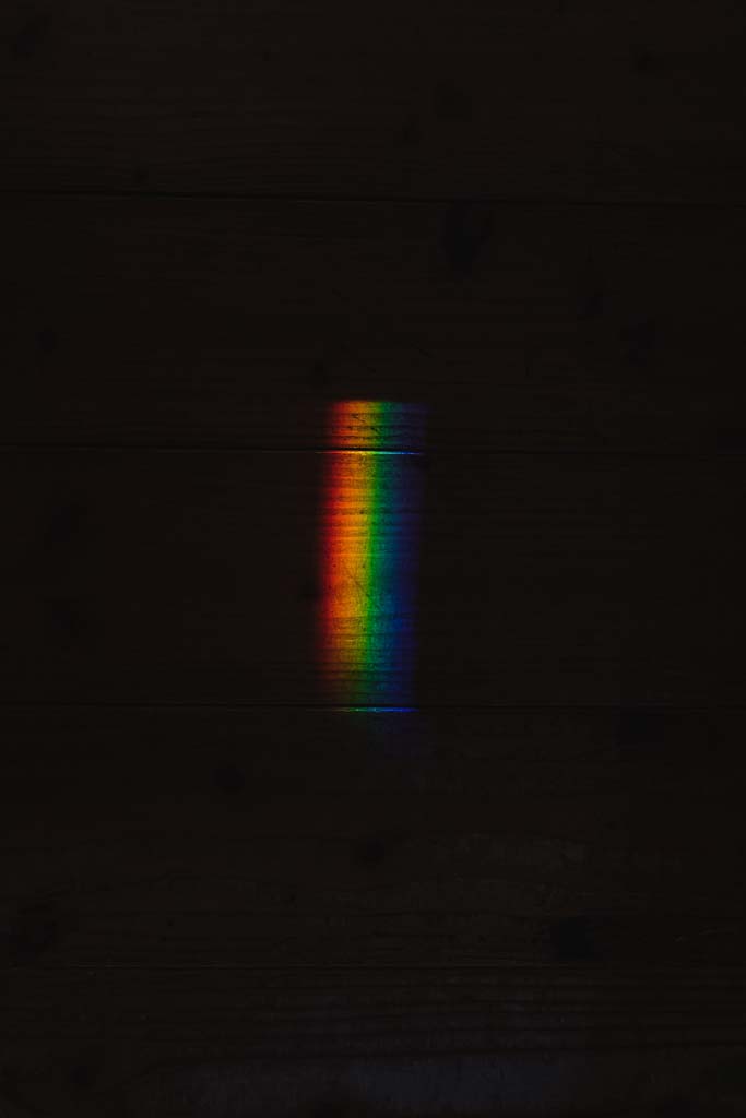 ryoji-iwata-kcy3tHgHpcs-unsplash ryoji-iwata-kcy3tHgHpcs-unsplash