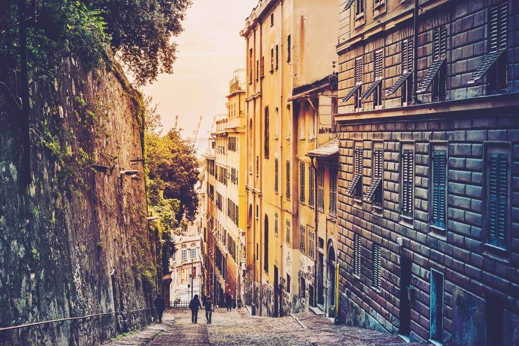 Photo by Yulia Grigoryeva / Shutterstock.com