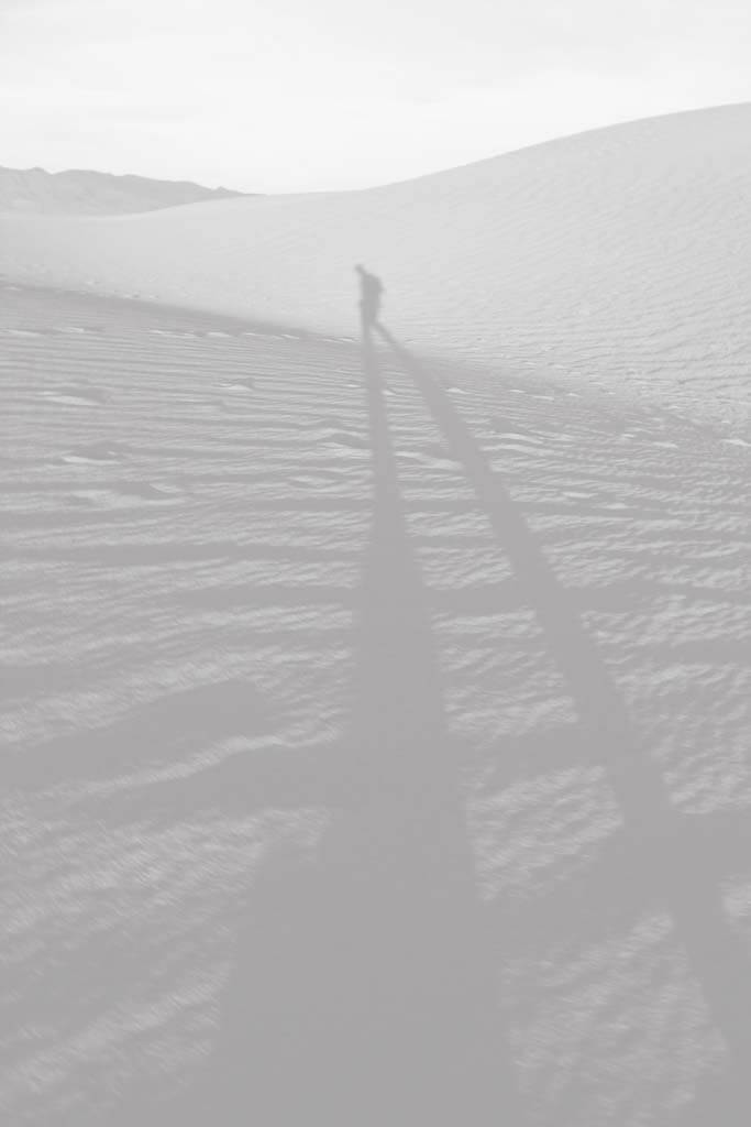 Artwork by Jehyun Sung