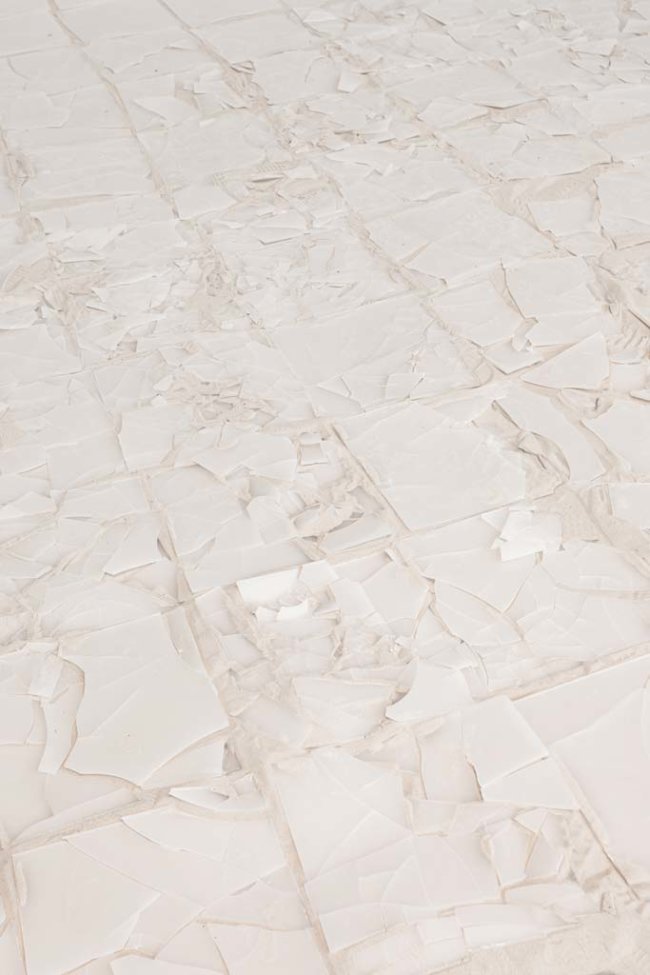 Angyvir Padilla. Photo © Silvia Cappellari