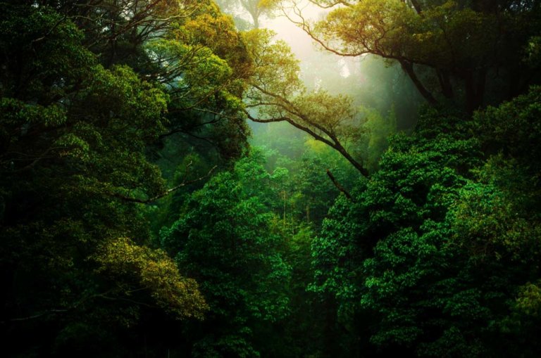kunal-shinde–f0YLss50Bs-unsplash Photo by Kunal Shinde