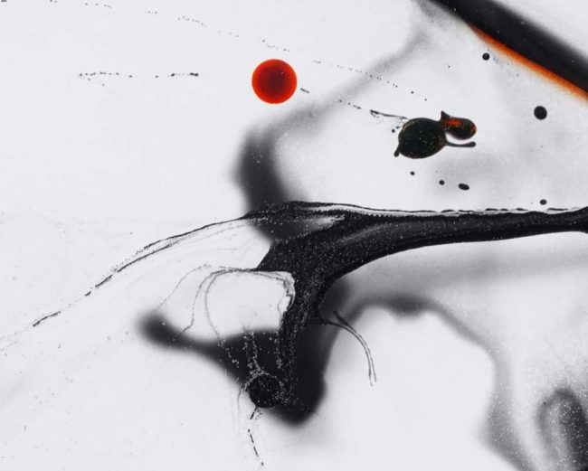 Photo: Alexander Ant/Unsplash