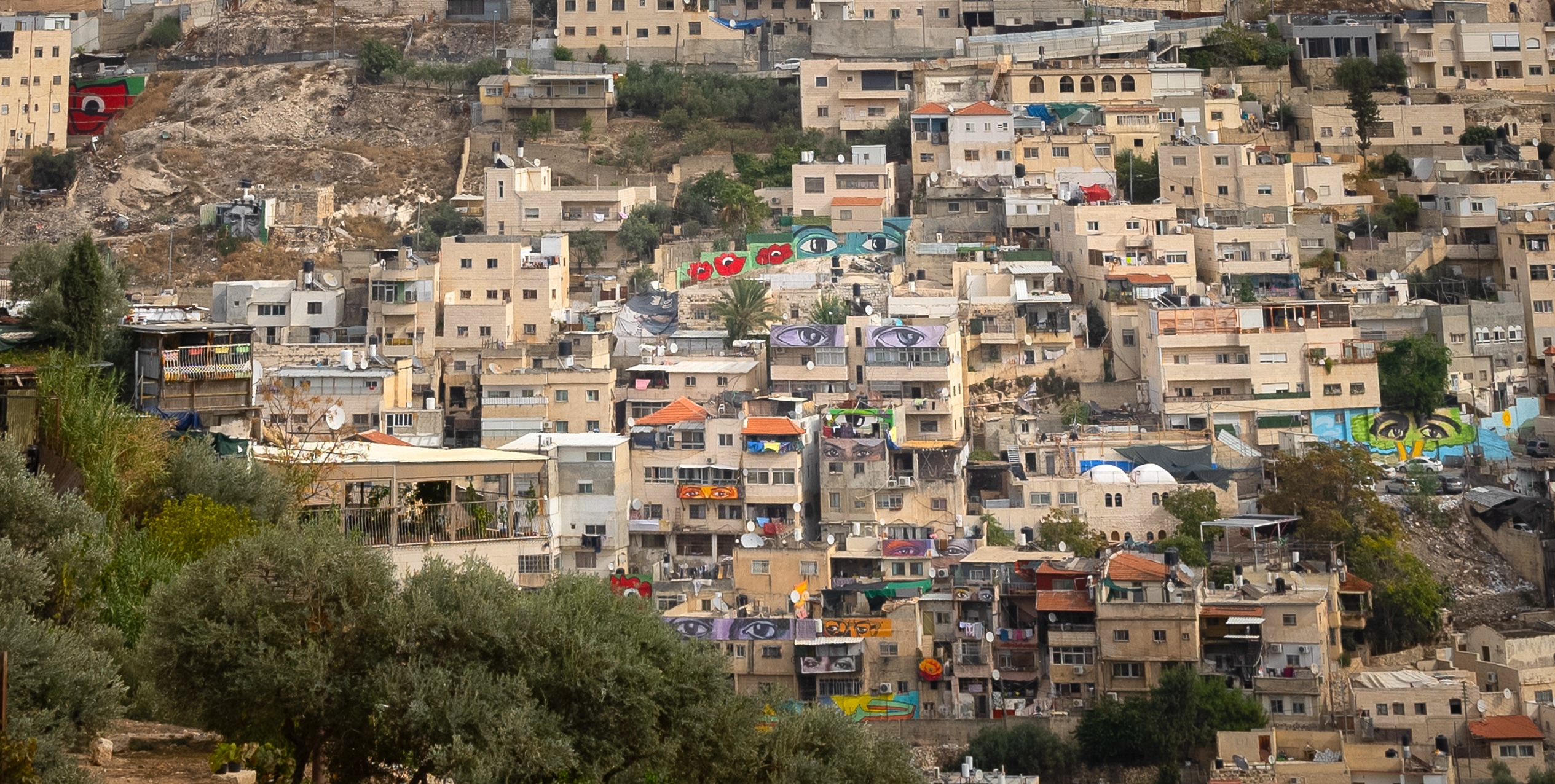 Eyes in Silwan Hillside. Photo by Afif Amirah for I Witness Silwan.