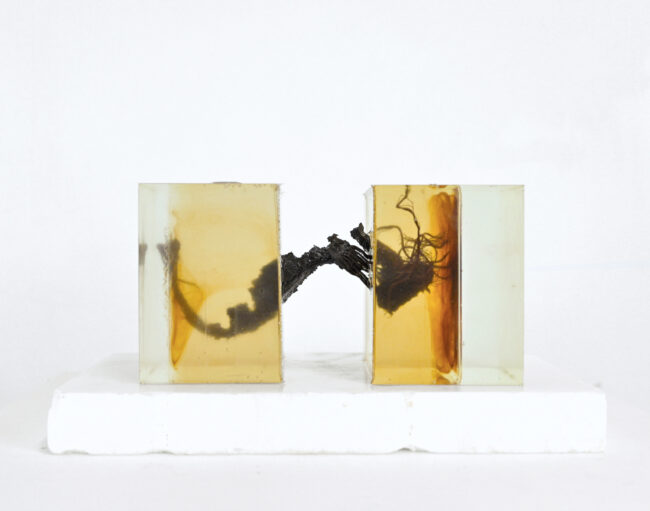 Inner resources, 2023