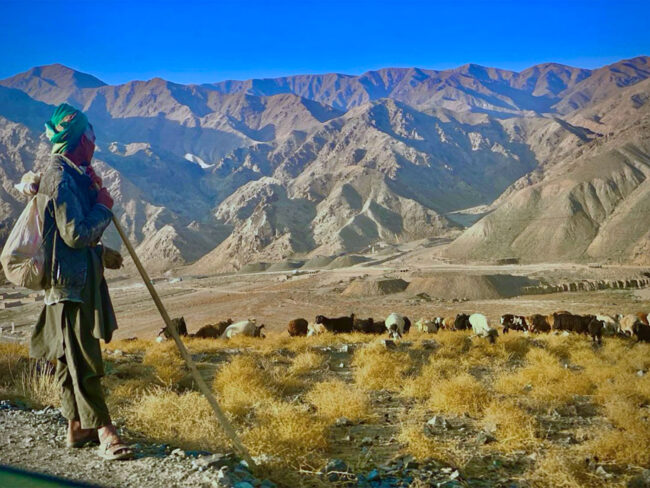 The Shepherd by Shaparak