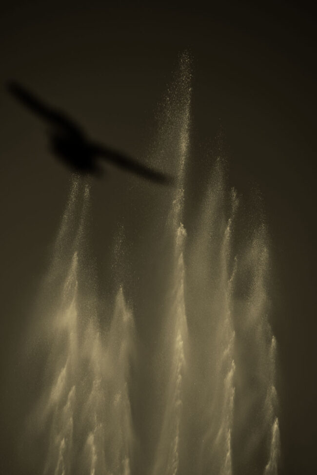 Photo by Andrew Lvov