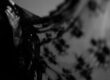 Photo by Daniel Obscura