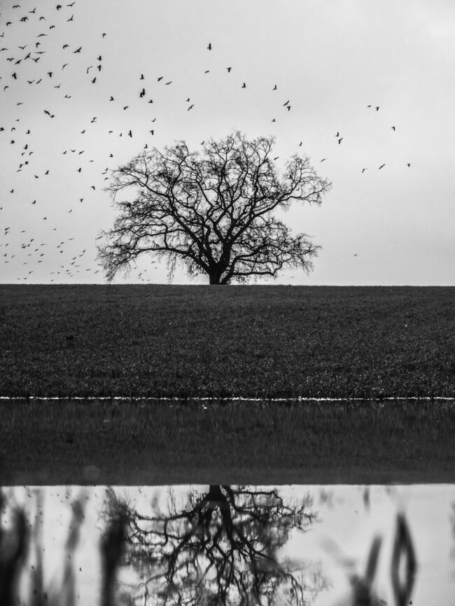 Photo by Julius Drost